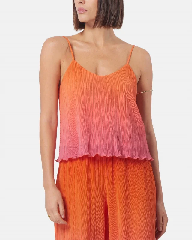 Arya Top In Ombre Pleated Fashion Sale